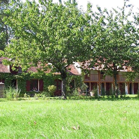 Chambres D'Hotes - Domaine De Montizeau Lailly-en-Val Eksteriør billede